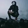 h_x_s79