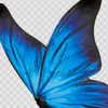 user5109471602071