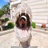majdimalek6