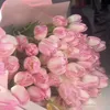 marwa_xan5