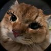 philipa004