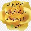 user22499621187911