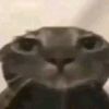 mo_4287