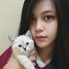 ryanew29