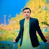gulahmadkarimi511