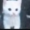 f_uck_u4
