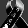 jos.reyes5784