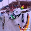 ameer.ali8393