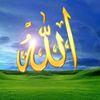 user4549044628651