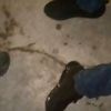 junior.loera36