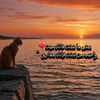 userzmfa
