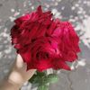 user7346618560938
