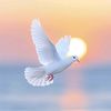 🕊️