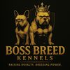 boss.breed.kennel