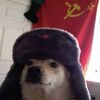 unsovietico234