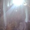 monroe_115