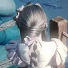 zya_0838