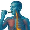 HealthDecoded