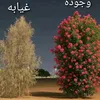 booos1zbd