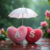 amez.surchi