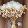 asmaa.fawzy53