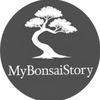 mybonsaistoryhq
