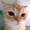 minh.huy7951