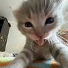 gatau_.801