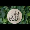 aqsa6031