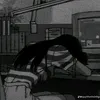 minh_hoang_k9