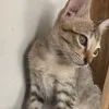 peperooonnniii