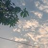 akungabut2922