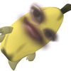 yyyyssss219