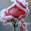 zahid.karim78