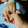fatimamaqbool6