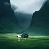 ynhiictw1