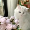 tot01192