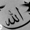 user2219765338881