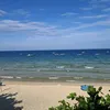chongayvenha