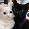 .sumu.25