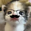 chahchhowx