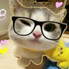 kysh_yudx