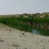 arslan83262