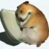 ibat_k3b1