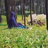 novia.ika.ristian