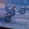 bentos250
