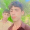 user29566073563278