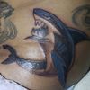 tiburon_056