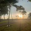 quang vinh