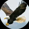 me841281